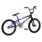 GT 2001 Pro Series XL BMX Bike user 